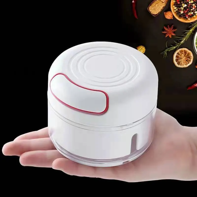 Kitchen Gadgets Vegetable Chopper - Frantoio per aglio in plastica Pressa