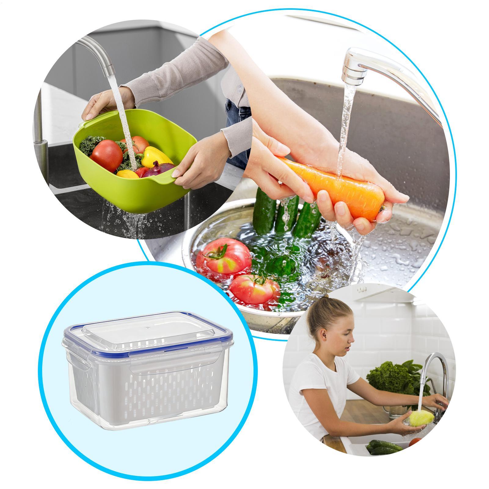 Contenitore per alimenti 4 in  - Food Storage Containers recensione e prezzo