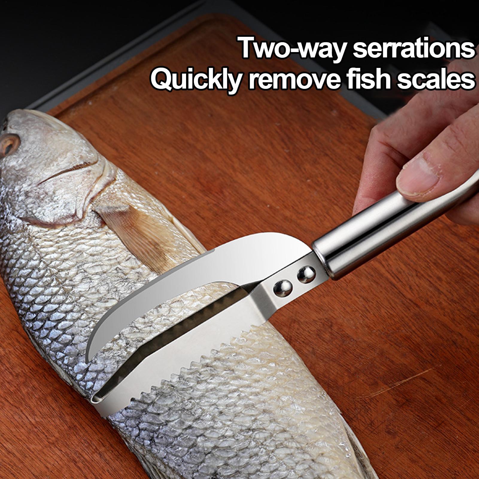 Coltello per rimuovere le squa - Kitchen Gadgets List recensione e prezzo