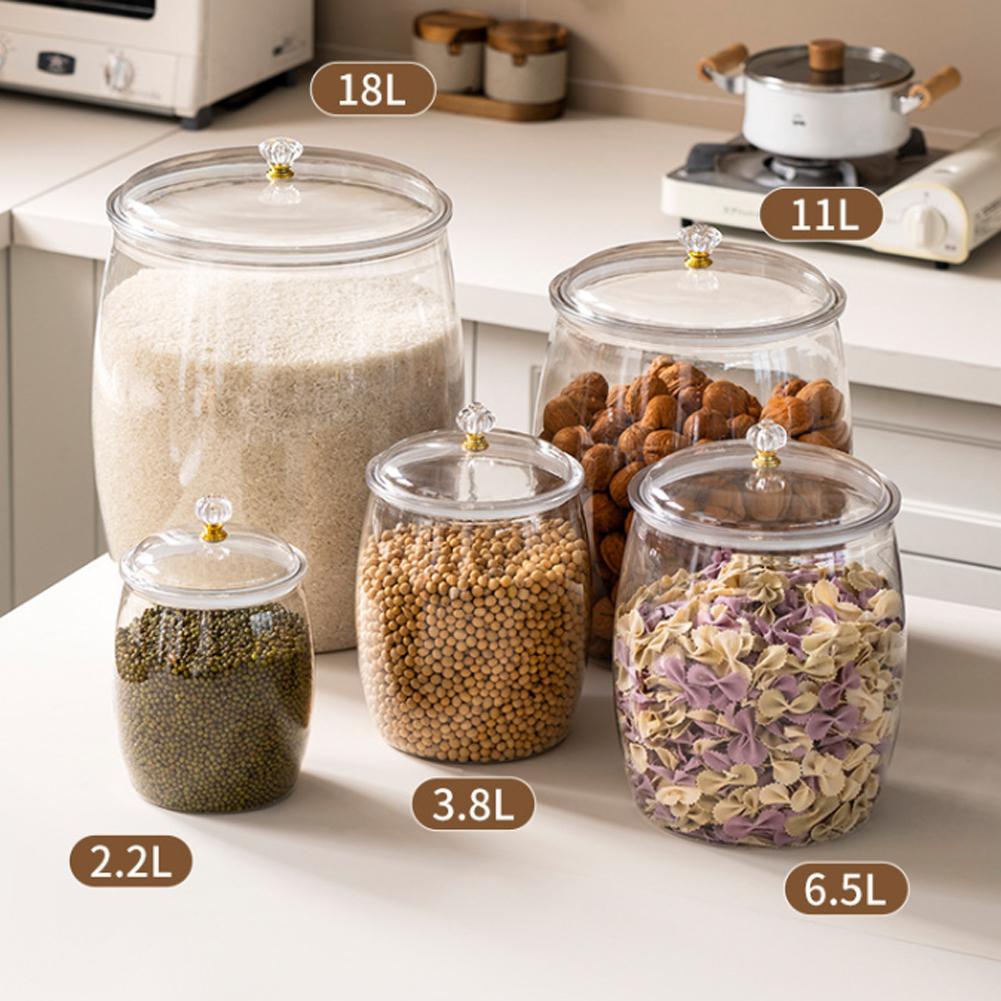 Grande Contenitore Trasparente - Food Storage Containers recensione e prezzo
