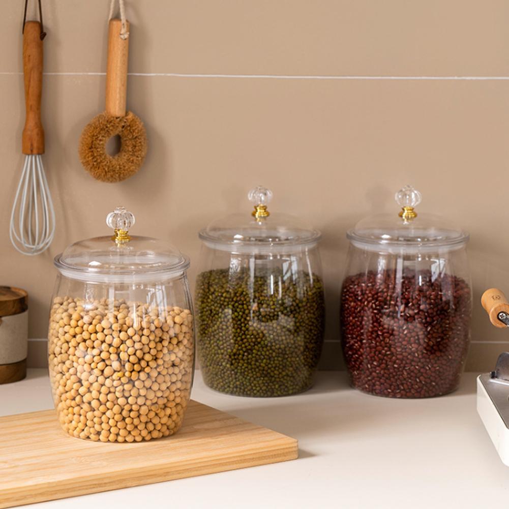 Grande Contenitore Trasparente - Food Storage Containers recensione e prezzo